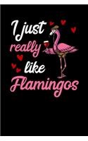 I Just Really Like Flamingos