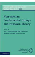 Non-abelian Fundamental Groups and Iwasawa Theory