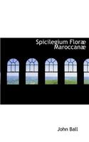 Spicilegium Flor Maroccan