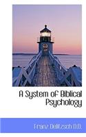 A System of Biblical Psychology