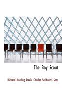 The Boy Scout