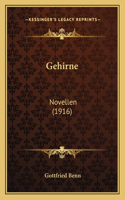 Gehirne