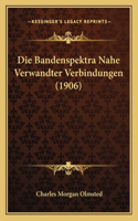 Die Bandenspektra Nahe Verwandter Verbindungen (1906)