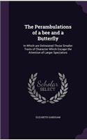 The Perambulations of a Bee and a Butterfly: In Which Are Delineated Those Smaller Traits of Character Which Escape the Attention of Larger Spectators