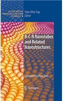 B-C-N Nanotubes and Related Nanostructures: (6 Lecture Notes in Nanoscale Science and Technology)