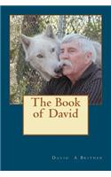 Book of David