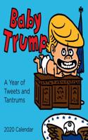 Baby Trump 2020 Wall Calendar