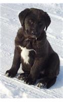 A Black Lab Puppy Sitting in the Snow Journal: Take Notes, Write Down Memories in this 150 Page Lined Journal