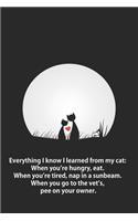 Everything I know I learned from my cat