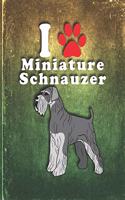 Miniature Schnauzer