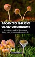 How to Grow Magic Mushrooms: A 100% Guide for Beginners. Benefits of Mushroom Grower's kit