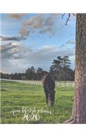 Equine Lifestyle Planner 2020