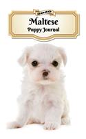 2020 Maltese Puppy Journal
