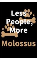 Less People, More Molossus