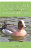 How to Raise Ducks in the Backyard
