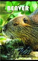 Beaver Monthly Note Planner 2019 1 Year Calendar