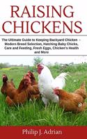 Raising Chickens