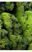 Green Moss - Blank Notebook: 101 Pages, 6 x 9 Journal, Soft Cover