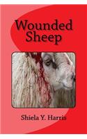 Wounded Sheep