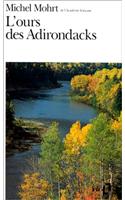 Ours Des Adirondacks
