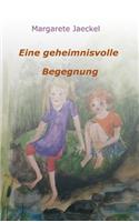 Eine geheimnisvolle Begegnung