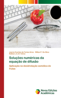 Soluções numéricas da equação de difusão