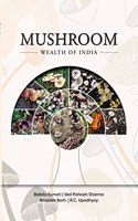 Mushroom Wealth Of India