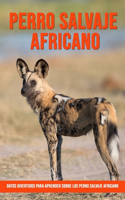 Datos divertidos para aprender sobre los Perro Salvaje Africano