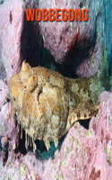 Wobbegong