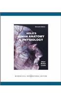 Holes Human Anatomy & Physiology 11 Ed