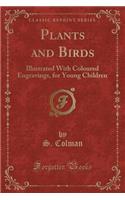 Plants and Birds: Illustrated with Coloured Engravings, for Young Children (Classic Reprint)