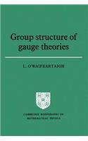 Group Structure of Gauge Theories