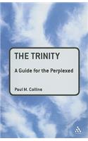 Trinity: A Guide for the Perplexed