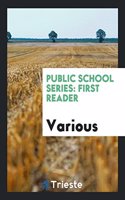 Public School Series