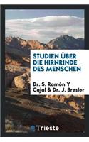 Studien Ã?ber Die Hirnrinde Des Menschen V.5, 1906