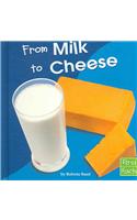 From Milk to Cheese
