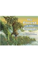 The Forest in the Clouds