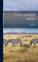 The Cheviot Sheep