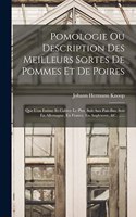 Pomologie Ou Description Des Meilleurs Sortes De Pommes Et De Poires