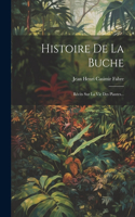 Histoire De La Buche