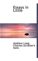 Essays in Little