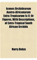 Icones Orchidearum Austro-Africanarum Extra-Tropicarum (V.1); Or Figures, with Descriptions, of Extra-Tropical South African Orchids: (English)