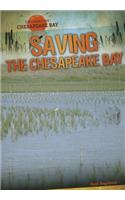 Saving the Chesapeake Bay