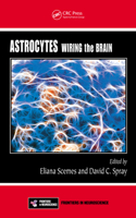 Astrocytes