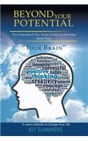 Your Brain