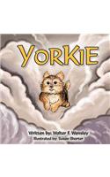 Yorkie