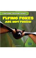 Flying Foxes Are Not Foxes!