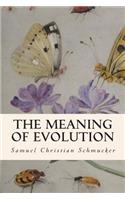 The Meaning of Evolution