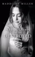 Struck Down, But Not Destroyed: A Memoir