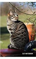 Cat Notebook: 6x 9 Lined Notebook Cat Composition Notebook Journal and Diary100 Pages (Volume 33)